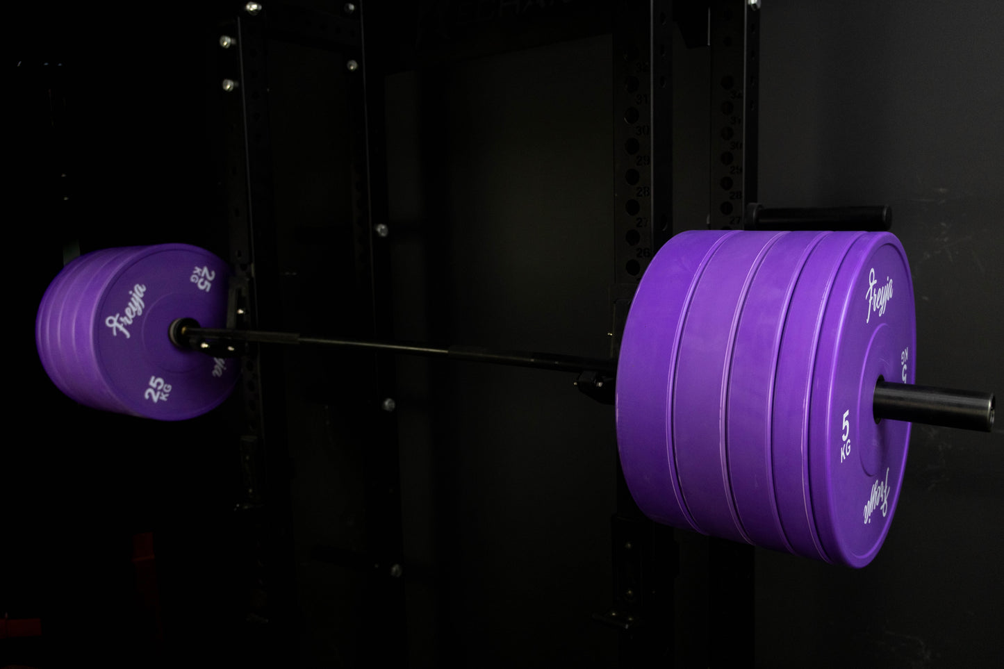 Purple Bumper Plate Sets -  100kg or 150kg Options