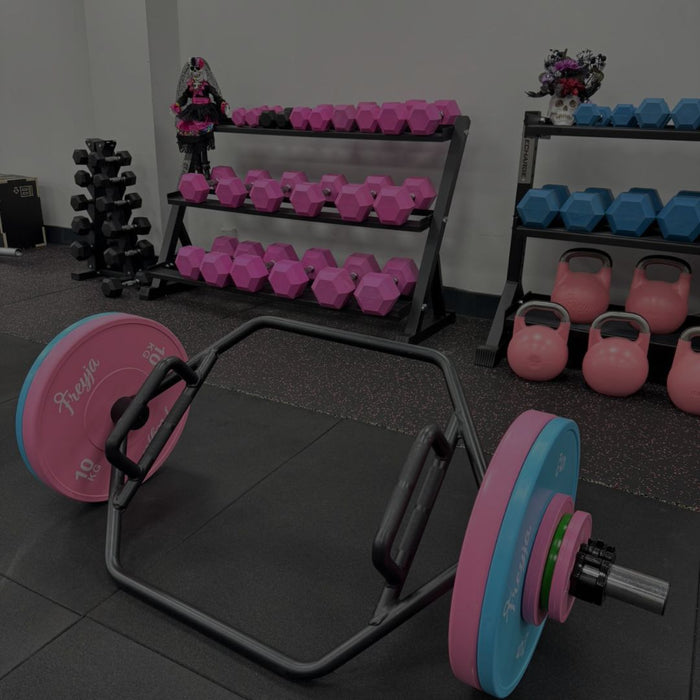 Commercial Gym