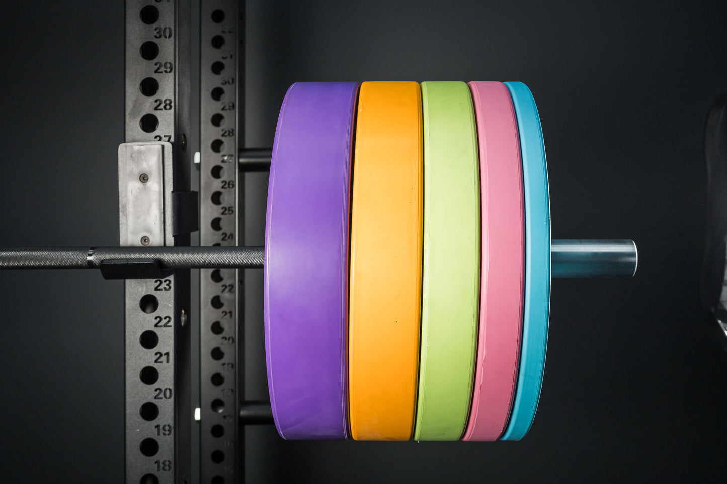 Colourful Freyja Fit pastel weight plate on a barbell against a dark background