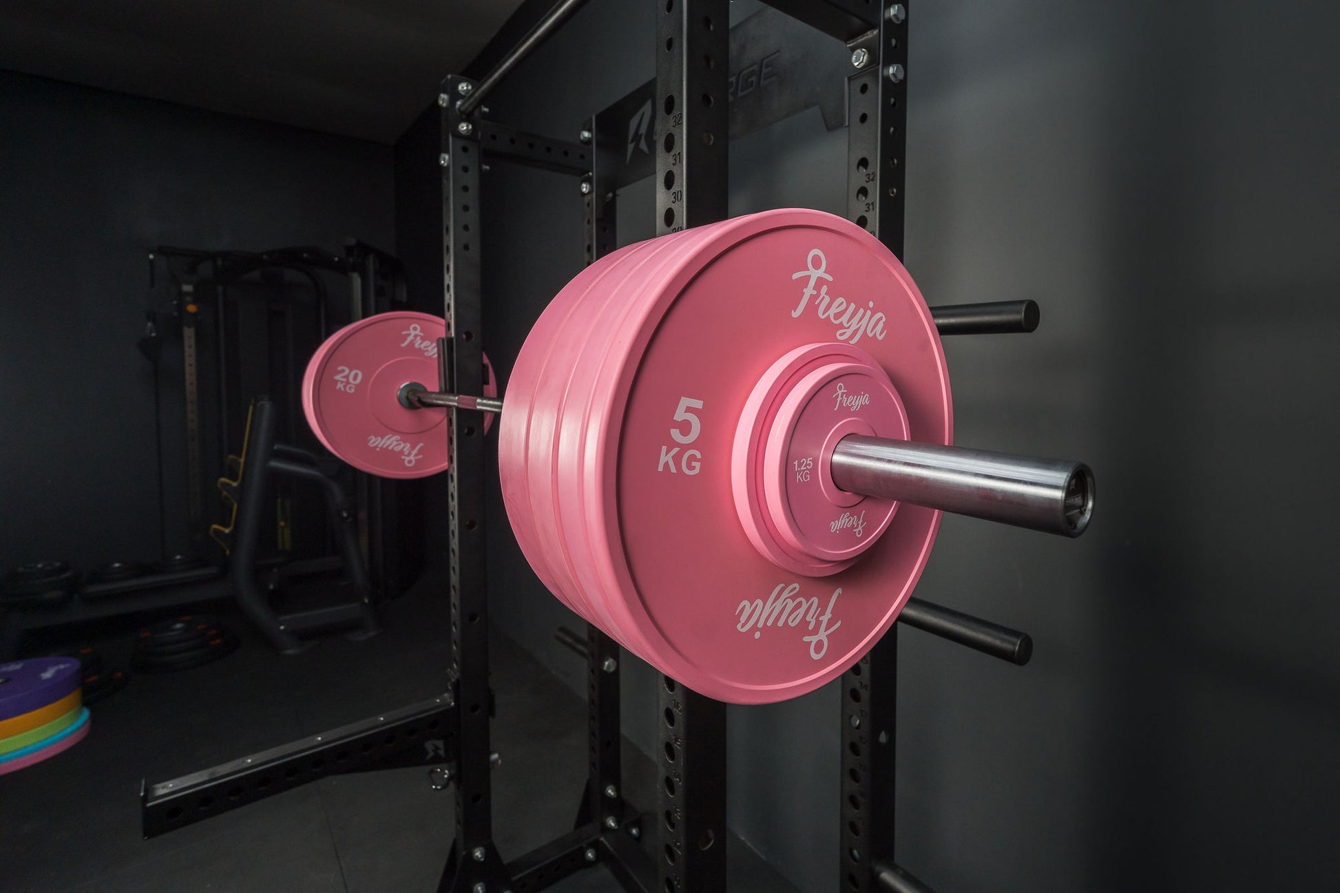 Pink Freyja Fit weight plate on a barbell rack in a gym setting