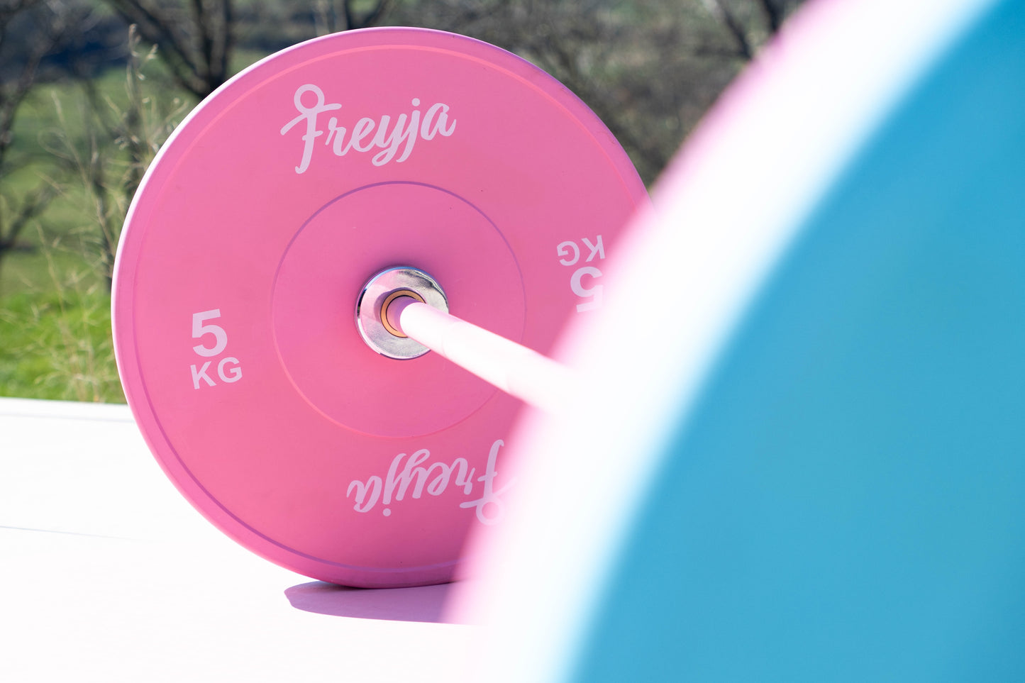 Pink Freyja Fit bumper plate on a matching pink barbell, photographed outdoors against a blurred natural background.