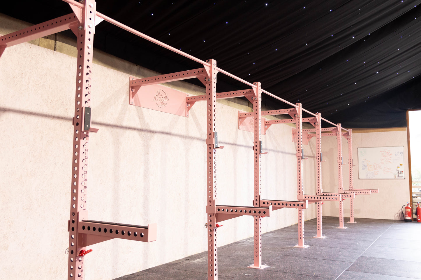 Double Bay Power Rig in bold pink, heavy-duty steel frame for strength and functional training in a gym setting