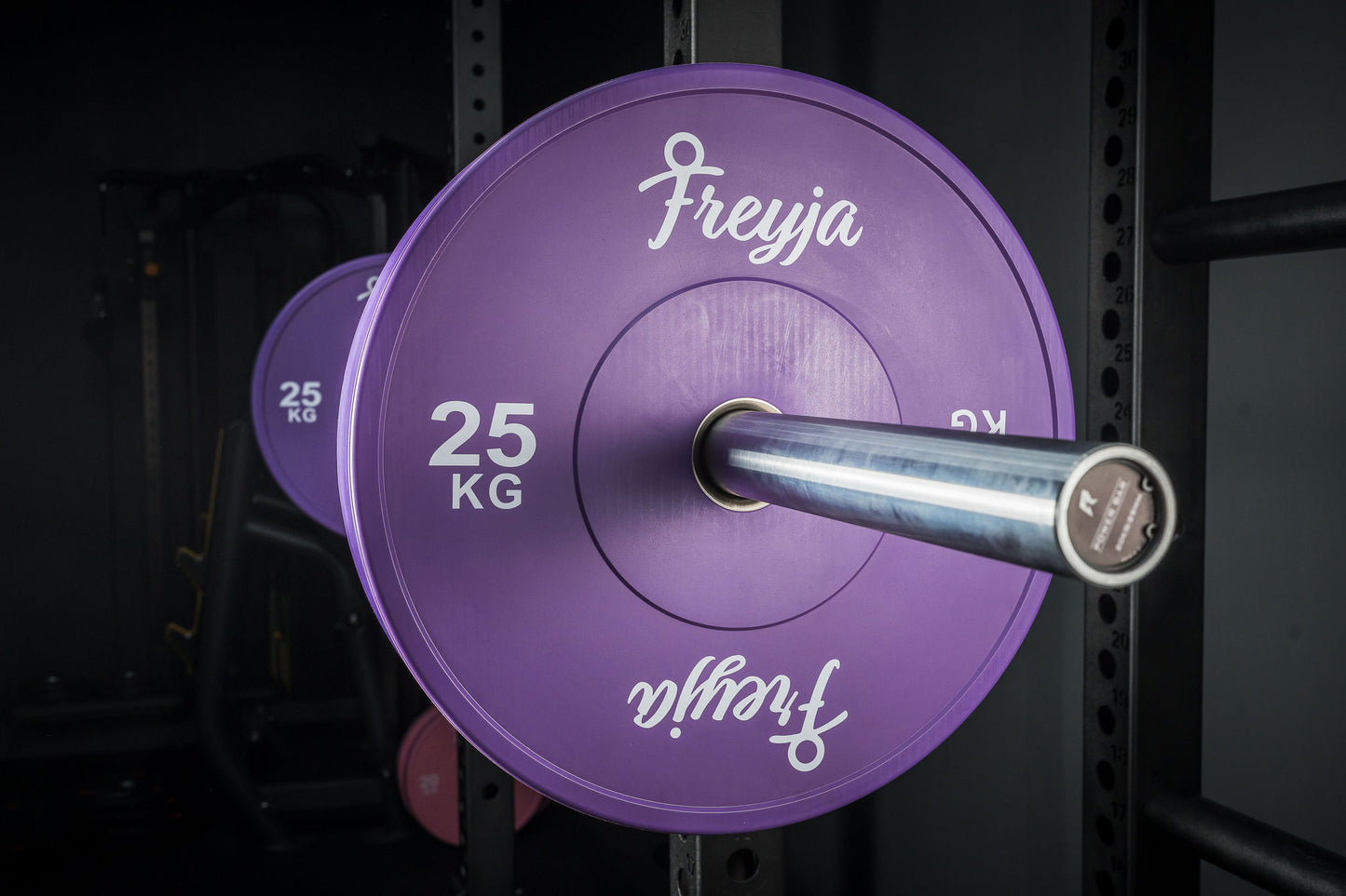 Purple Freyja Fit bumper plate loaded on a barbell in a gym