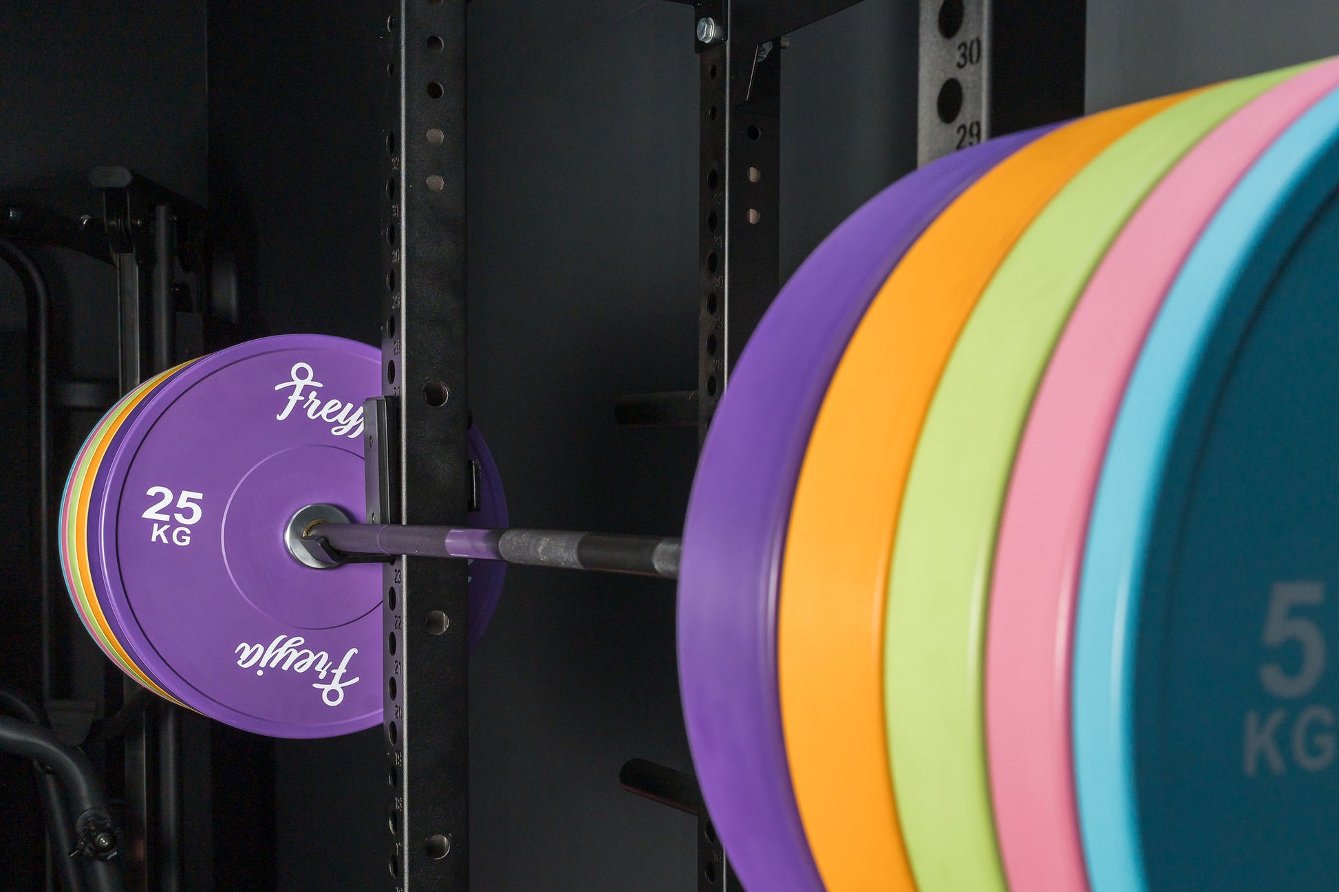 Black barbell with colourful Freyja Fit bumper plates on a squat rack