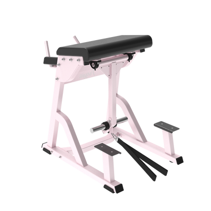 Pink Plate Loaded Reverse Hyper Extension - Glute Range