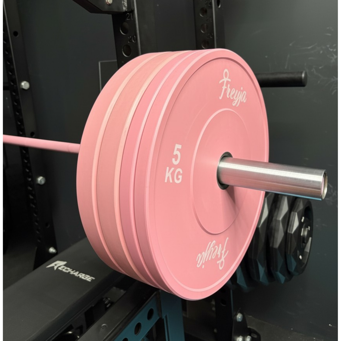 Pastel Bumper Plate Set 60kg – Multiple Colour Options