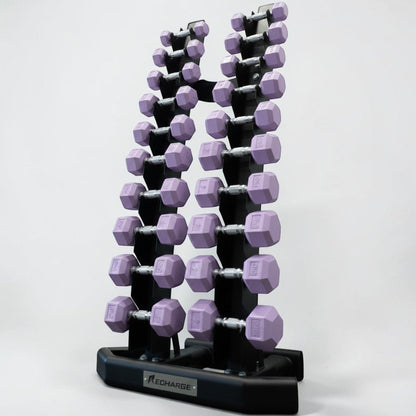 Purple Hex Dumbbell Studio Set - 1-10kg (Signature Finish)